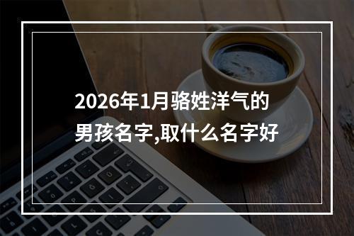 2026年1月骆姓洋气的男孩名字,取什么名字好