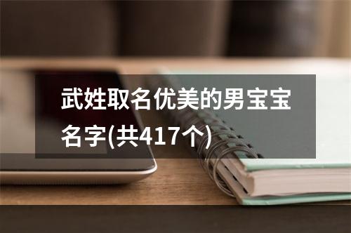 武姓取名优美的男宝宝名字(共417个)