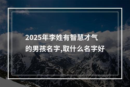 2025年李姓有智慧才气的男孩名字,取什么名字好