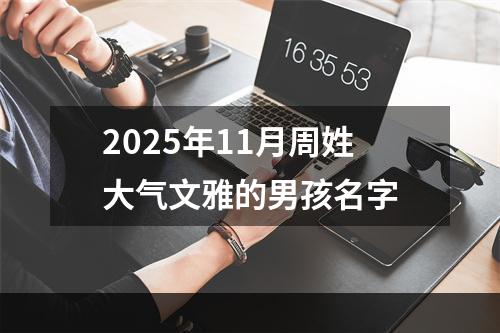 2025年11月周姓大气文雅的男孩名字