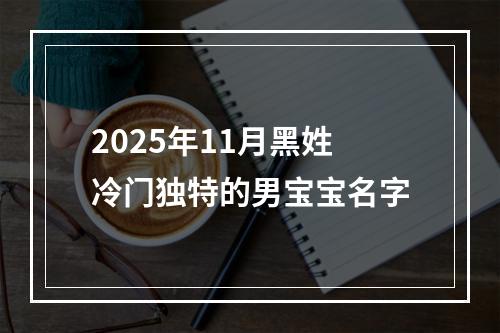 2025年11月黑姓冷门独特的男宝宝名字