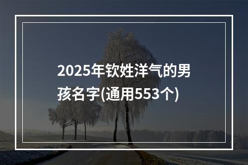 2025年钦姓洋气的男孩名字(通用553个)