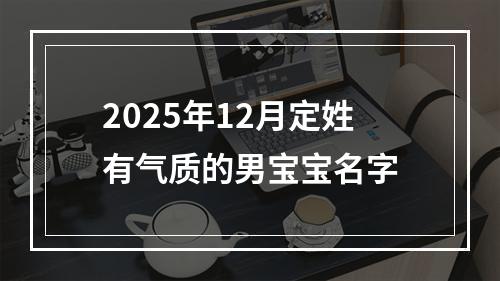 2025年12月定姓有气质的男宝宝名字