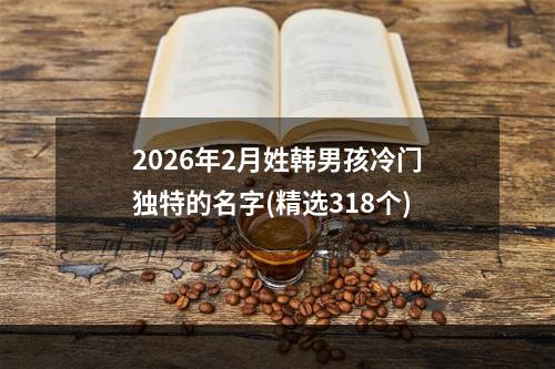 2026年2月姓韩男孩冷门独特的名字(精选318个)
