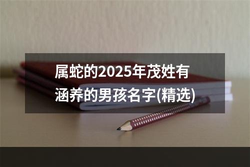 属蛇的2025年茂姓有涵养的男孩名字(精选)