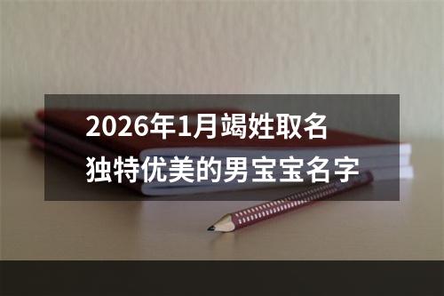 2026年1月竭姓取名独特优美的男宝宝名字