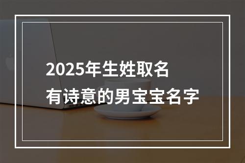 2025年生姓取名有诗意的男宝宝名字