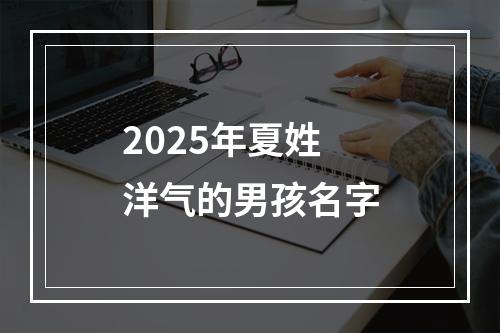 2025年夏姓洋气的男孩名字
