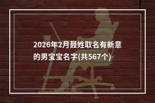 2026年2月聂姓取名有新意的男宝宝名字(共567个)