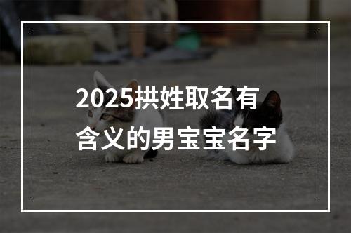 2025拱姓取名有含义的男宝宝名字