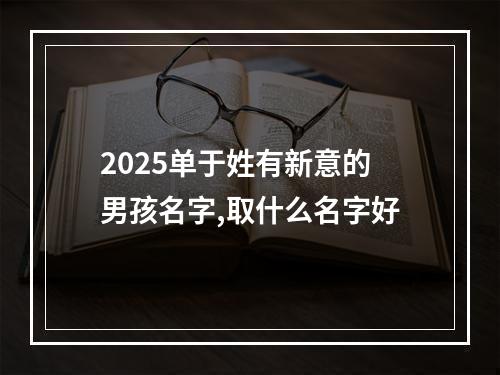 2025单于姓有新意的男孩名字,取什么名字好