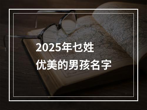 2025年乜姓优美的男孩名字