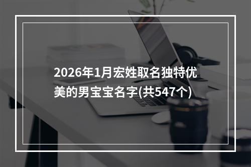 2026年1月宏姓取名独特优美的男宝宝名字(共547个)