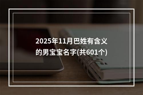 2025年11月巴姓有含义的男宝宝名字(共601个)