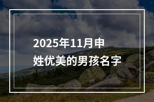 2025年11月申姓优美的男孩名字