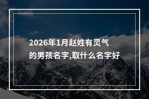 2026年1月赵姓有灵气的男孩名字,取什么名字好