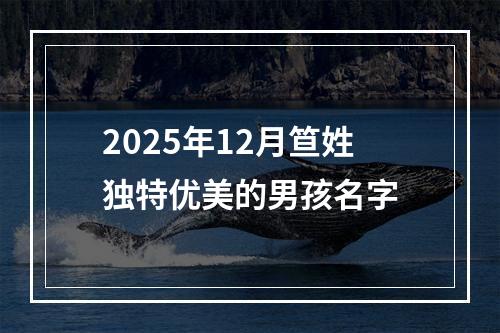 2025年12月笪姓独特优美的男孩名字