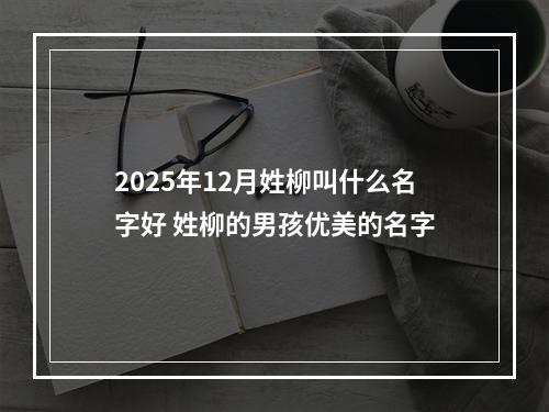 2025年12月姓柳叫什么名字好 姓柳的男孩优美的名字