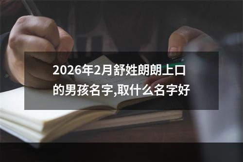 2026年2月舒姓朗朗上口的男孩名字,取什么名字好