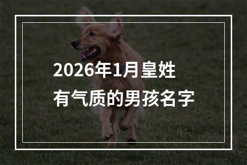 2026年1月皇姓有气质的男孩名字