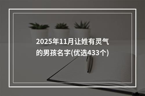 2025年11月让姓有灵气的男孩名字(优选433个)