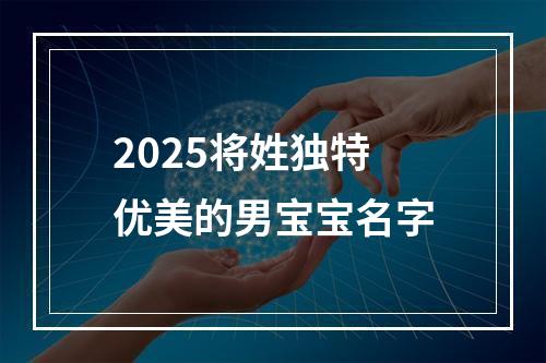2025将姓独特优美的男宝宝名字