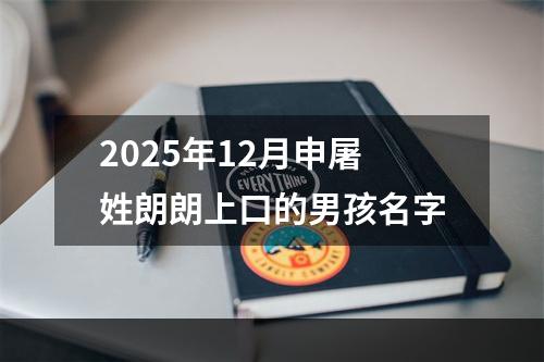 2025年12月申屠姓朗朗上口的男孩名字