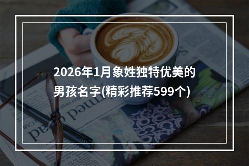 2026年1月象姓独特优美的男孩名字(精彩推荐599个)