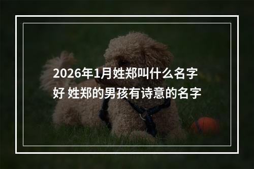 2026年1月姓郑叫什么名字好 姓郑的男孩有诗意的名字