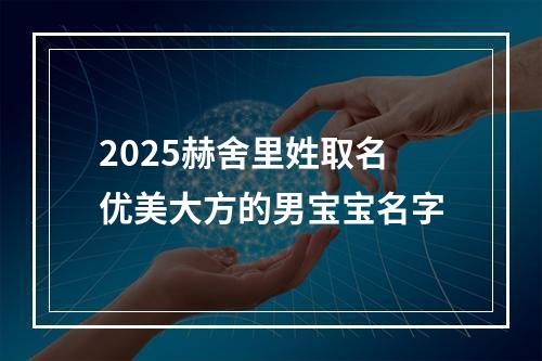 2025赫舍里姓取名优美大方的男宝宝名字