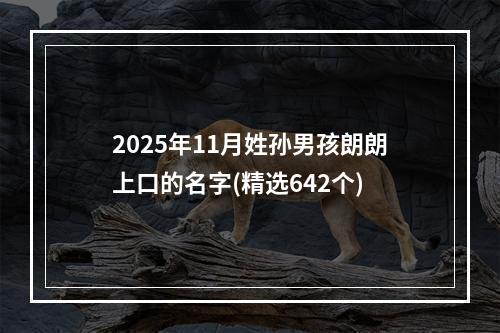 2025年11月姓孙男孩朗朗上口的名字(精选642个)