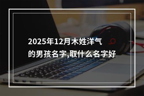 2025年12月木姓洋气的男孩名字,取什么名字好
