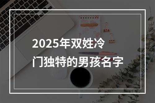 2025年双姓冷门独特的男孩名字