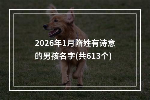 2026年1月隋姓有诗意的男孩名字(共613个)