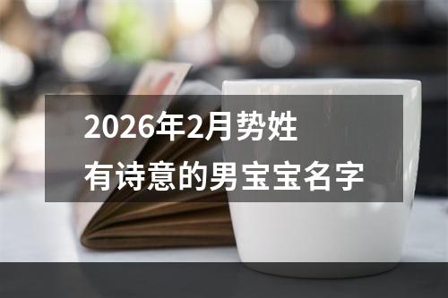 2026年2月势姓有诗意的男宝宝名字