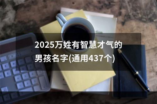 2025万姓有智慧才气的男孩名字(通用437个)