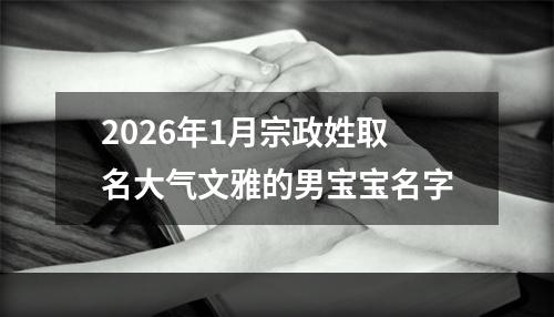 2026年1月宗政姓取名大气文雅的男宝宝名字