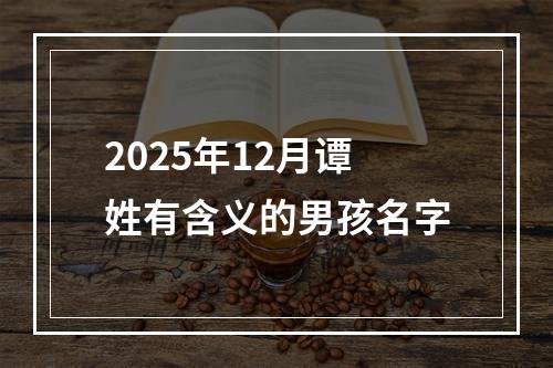 2025年12月谭姓有含义的男孩名字