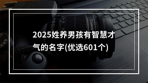 2025姓养男孩有智慧才气的名字(优选601个)