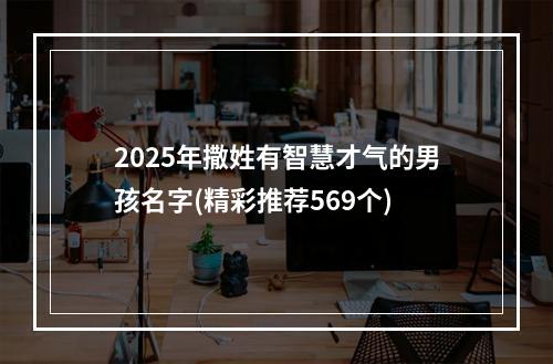 2025年撒姓有智慧才气的男孩名字(精彩推荐569个)