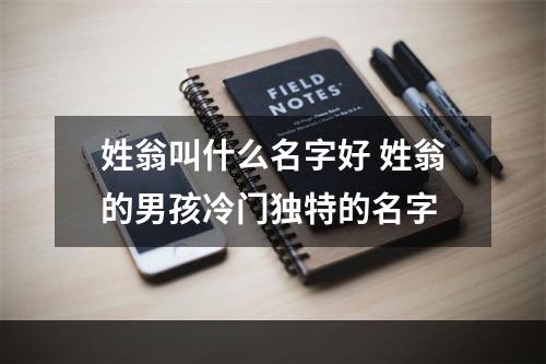姓翁叫什么名字好 姓翁的男孩冷门独特的名字