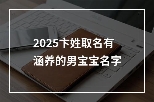 2025卞姓取名有涵养的男宝宝名字
