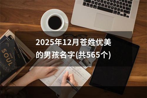 2025年12月苍姓优美的男孩名字(共565个)