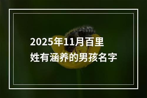 2025年11月百里姓有涵养的男孩名字