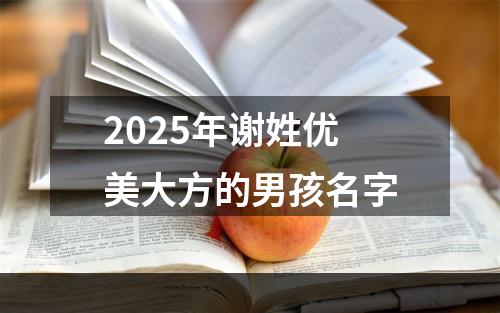 2025年谢姓优美大方的男孩名字