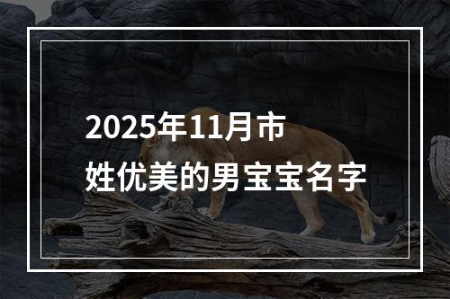 2025年11月市姓优美的男宝宝名字