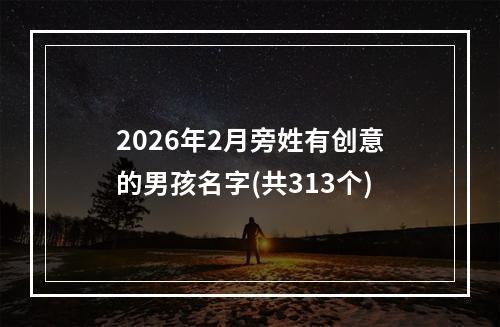 2026年2月旁姓有创意的男孩名字(共313个)