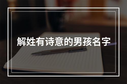 解姓有诗意的男孩名字