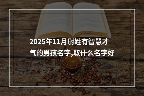 2025年11月尉姓有智慧才气的男孩名字,取什么名字好
