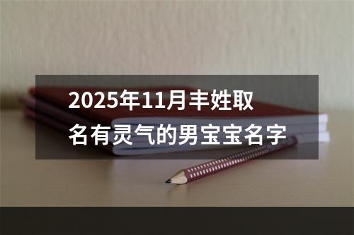 2025年11月丰姓取名有灵气的男宝宝名字